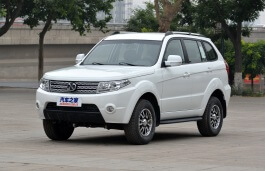 weiwang 007 