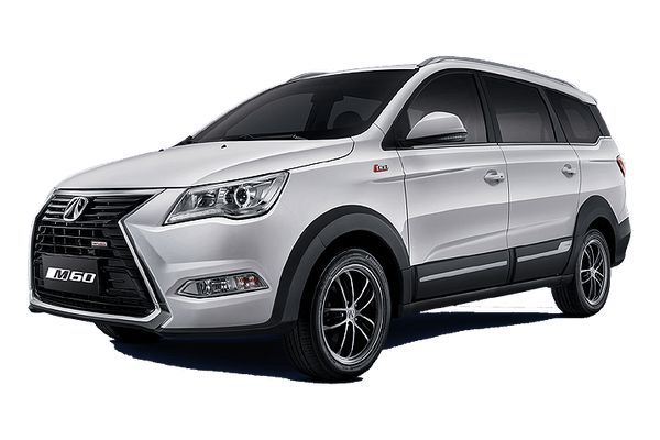 weiwang m60 