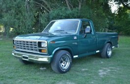 ford f-100 VII