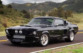 ford mustang-shelby-gt500 I