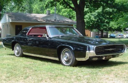 ford thunderbird V