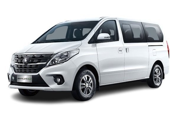 forthing lingzhi-plus 