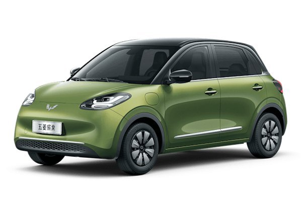 wuling binguo E260