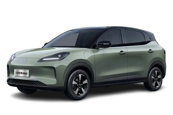 wuling binguo-plus E260MCE
